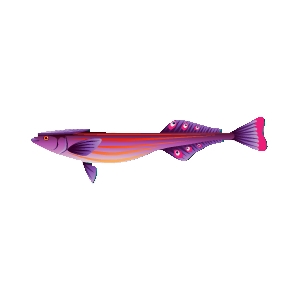 Plum Marlin Sucker